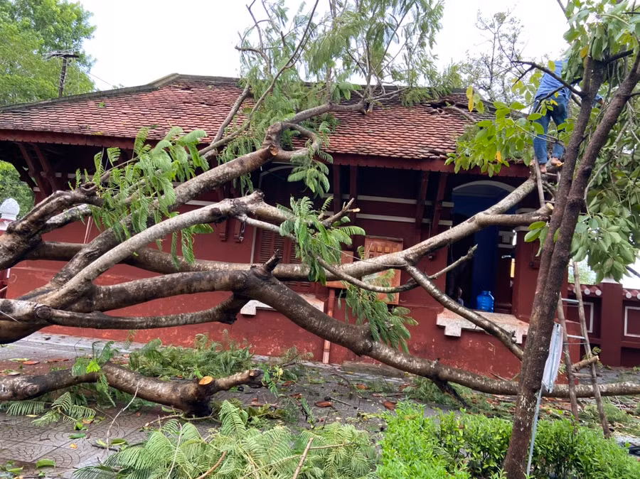  Thừa Thiên Huế: Nhiều trường học bị tốc mái, cây cối gãy đổ ảnh 2