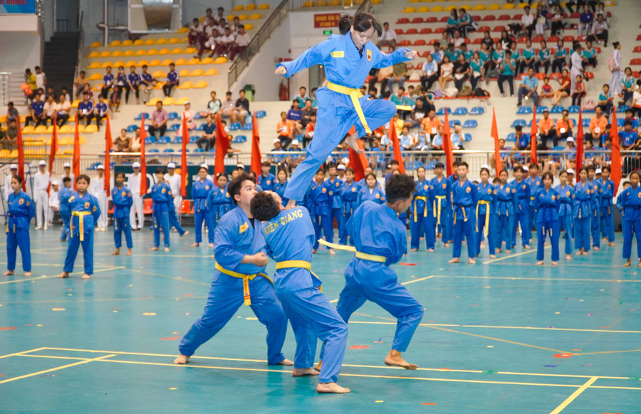 Biểu diễn võ thuật Vovinam gây ấn tượng cho người xem.