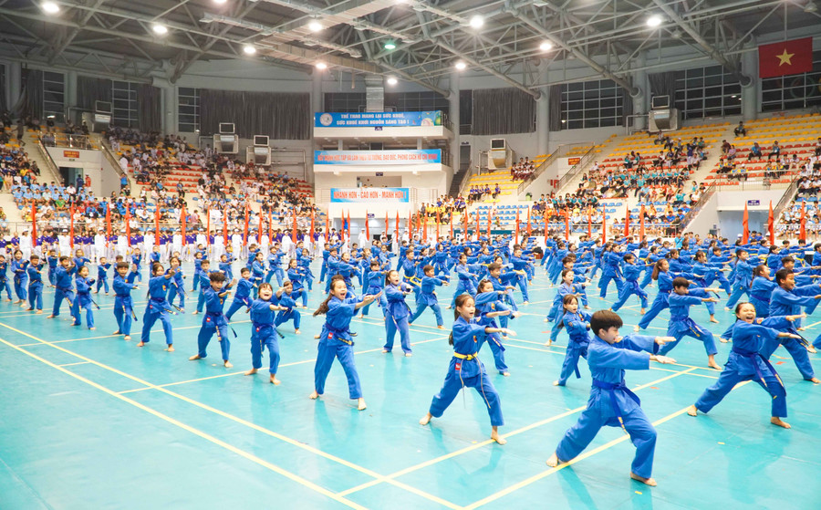 Đồng diễn võ thuật Vovinam.
