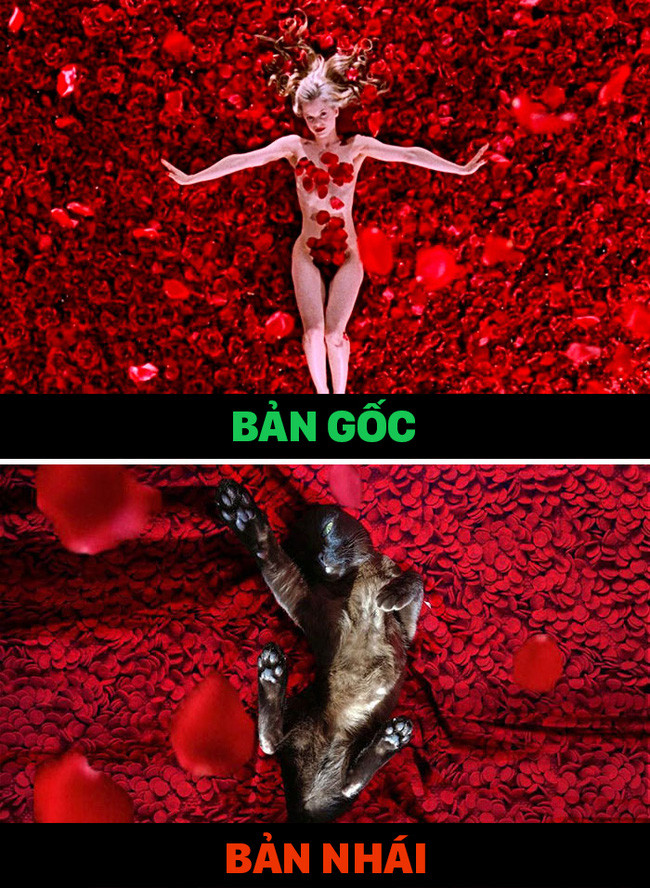Cặp đôi trai đẹp - mèo chuyên cosplay cảnh phim nổi tiếng theo phong cách lầy lội - Ảnh 9. Cặp đôi trai đẹp - mèo chuyên cosplay cảnh phim nổi tiếng theo phong cách lầy lội - Ảnh 9.