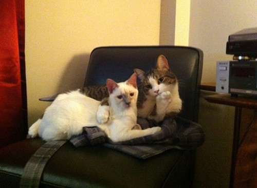 cuoi-te-ghe-24-11--page-2