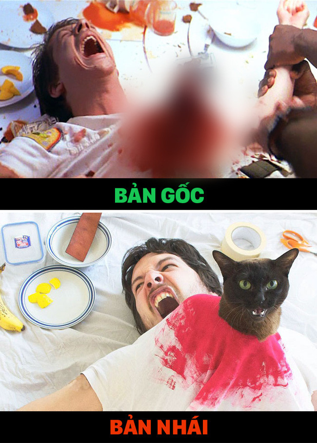 Cặp đôi trai đẹp - mèo chuyên cosplay cảnh phim nổi tiếng theo phong cách lầy lội - Ảnh 1. Cặp đôi trai đẹp - mèo chuyên cosplay cảnh phim nổi tiếng theo phong cách lầy lội - Ảnh 1.