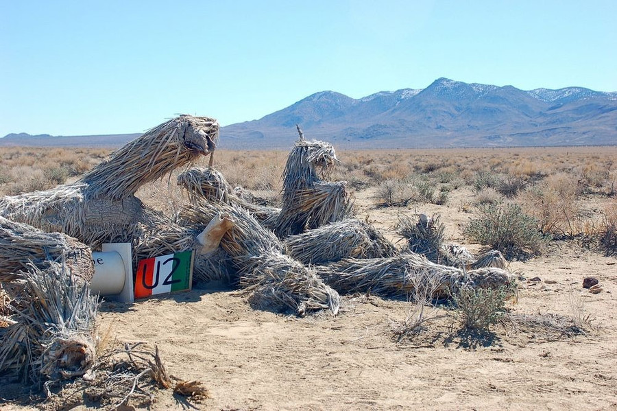 Những cái cây bỗng dưng nổi tiếng khắp thế giới theo cách không thể ngờ ảnh 4