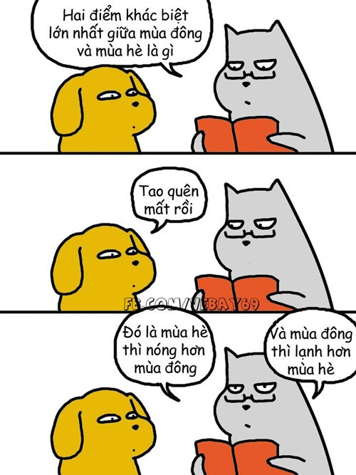 cuoi-te-ghe-24-11--page-2-2