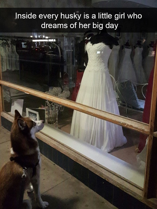 cuoi-te-ghe-24-11--page-2-7