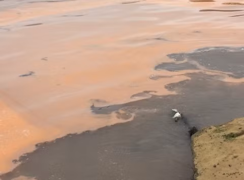 Vệt nước đỏ bất thường đứt quãng dài khoảng 1km nằm tại biển thôn Thọ Sơn xã Quảng Đông huyện Quảng Trạch tỉnh Quảng Bình vào sáng 10/4