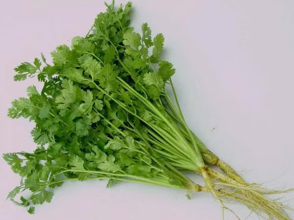 loi ich cua loai rau re nhu beo, tet nha nao cung co ma chua biet tan dung - 2