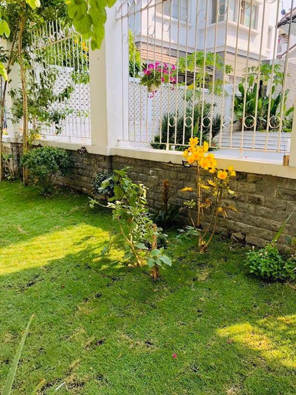 khong con xa hoa, sang trong, cong vinh - thuy tien trang hoang nha huong phat don tet ky hoi - 8