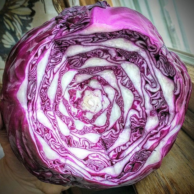 sắp xếp Sắp xếp “đã mắt” cho những ai yêu thích sự hoàn hảo