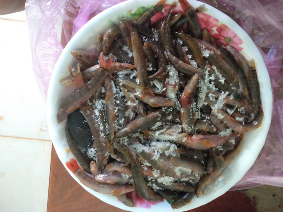 Túi cá suối học sinh vùng cao tặng cho giáo viên chủ nhiệm của mình. Túi cá suối học sinh vùng cao tặng cho giáo viên chủ nhiệm của mình.