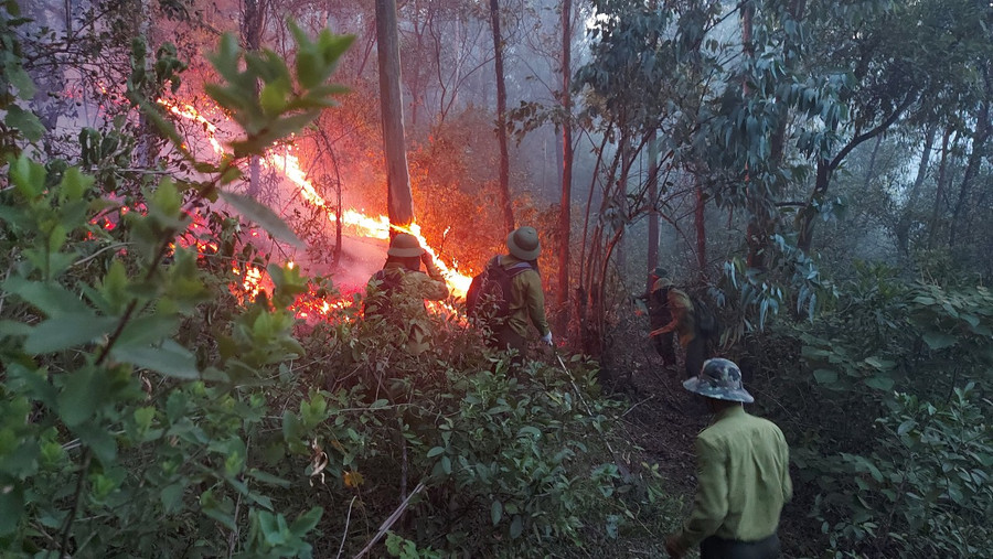 Các lực lượng tham gia dập lửa tại rừng Thượng Tân Lộc. (Ảnh: Hùng Lê) Các lực lượng tham gia dập lửa tại rừng Thượng Tân Lộc. (Ảnh: Hùng Lê)