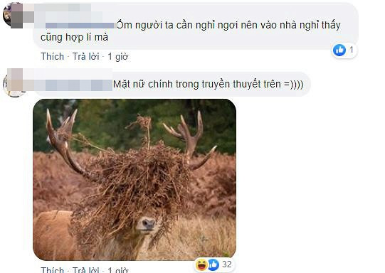 bị bạn trai cắm sừng 3 bạn trai phản bội, bị cắm sừng, giới trẻ