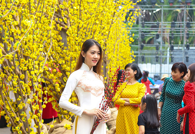 Nhiều bạn trẻ trong tà áo dài thướt tha, cùng đến lưu lại những hình ảnh tại đường hoa mai