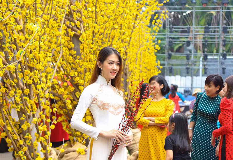 Nhiều bạn trẻ trong tà áo dài thướt tha, cùng đến lưu lại những hình ảnh tại đường hoa mai