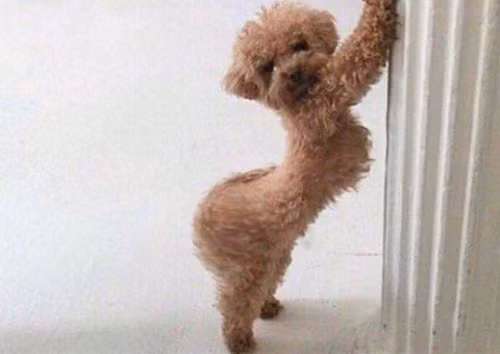 10-anh-hai-hot-nhat-facebook-trong-ngay-7