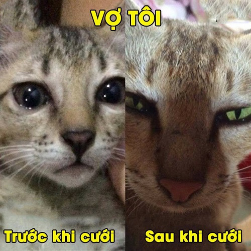 Sự thay đổi của những bà vợ. 10-anh-hai-hot-nhat-facebook-trong-ngay-2