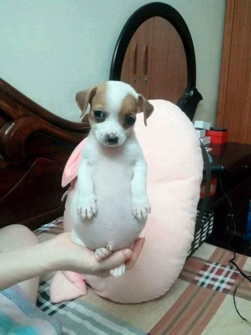 10-anh-hai-hot-nhat-facebook-trong-ngay-6