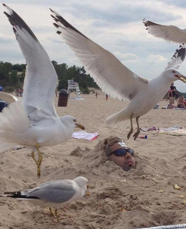 Khi con người hài hước thích "chọc cười" thiên hạ hình ảnh 12 khi con nguoi hai huoc thich "choc cuoi" thien ha hinh anh 12