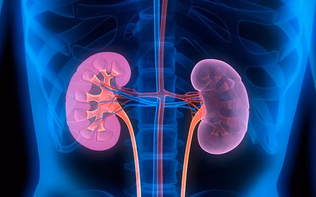 Xuất hiện quầng thâm dưới mắt: có thể bạn đã mắc phải 1 trong 5 vấn đề sức khỏe này - Hình 3