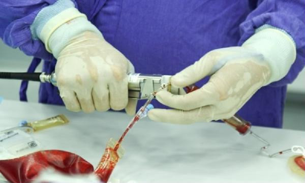 2 thứ của trẻ sau sinh quý hơn vàng, cha mẹ nên cất giữ phòng cứu mạng con sau này ảnh 2