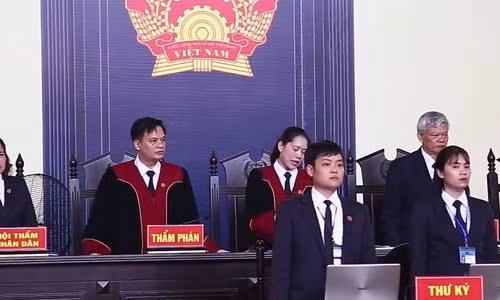 HĐXX tuyên án, Lưu Thị Hồng được trả tự do