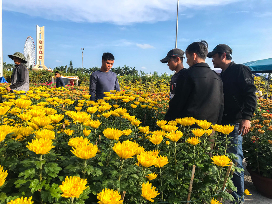 Hoa cúc thì có giá 500.000 đồng/ cặp đến 2 triệu đồng/ cặp, tùy thuộc vào loại to hay nhỏ. Hoa cúc thì có giá 500.000 đồng/ cặp đến 2 triệu đồng/ cặp, tùy thuộc vào loại to hay nhỏ.