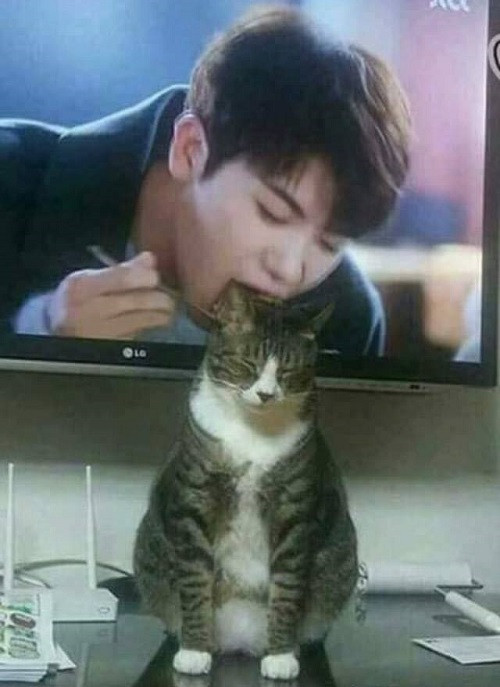 Đừng đánh giá một người đàn ông qua ngôi nhà của họ ảnh 3 Khoảnh khắc trùng hợp.