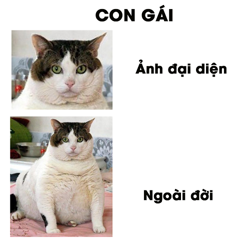 Đừng đánh giá một người đàn ông qua ngôi nhà của họ ảnh 2 Thực trạng sống ảo của chị em phụ nữ thời nay.