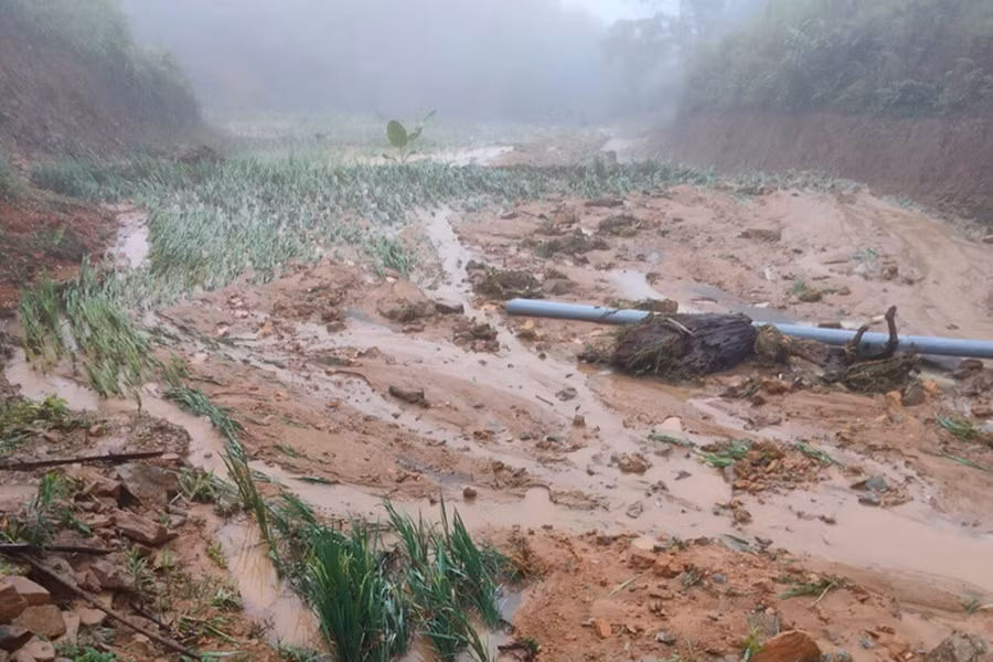 Ruộng lúa của người dân huyện Quế Phong bị đất đá vùi lấp.