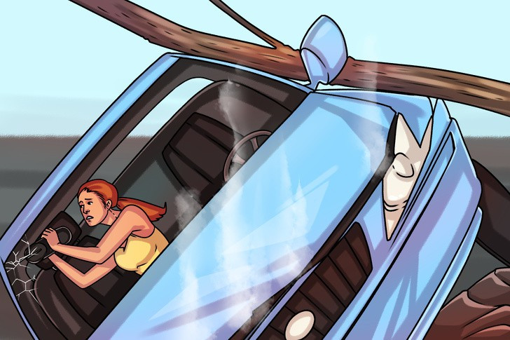 7 sự thật ít người biết này sẽ cứu mạng bạn vào một ngày nào đó trong đời - Ảnh 4. 7 sự thật ít người biết này sẽ cứu mạng bạn vào một ngày nào đó trong đời - Ảnh 4.