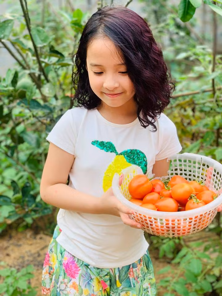 Hồng Đăng thu hoạch một ô tô sấu, xoài ở nhà vườn 1.300m2