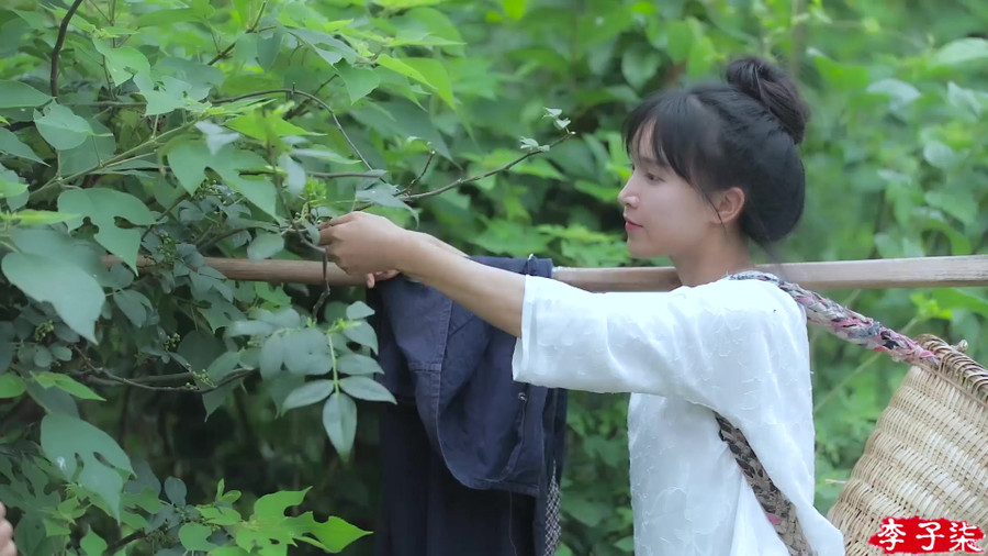 Sự thật phía sau cuộc sống tiên cảnh vạn người ao ước của “Tiên nữ đồng quê” Lý Tử Thất ảnh 13 Sự thật phía sau cuộc sống tiên cảnh vạn người ao ước của “Tiên nữ đồng quê” Lý Tử Thất ảnh 13