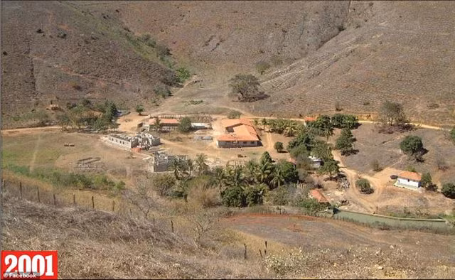 Đôi vợ chồng dành ra 20 năm để trồng hàng triệu cây xanh - 2