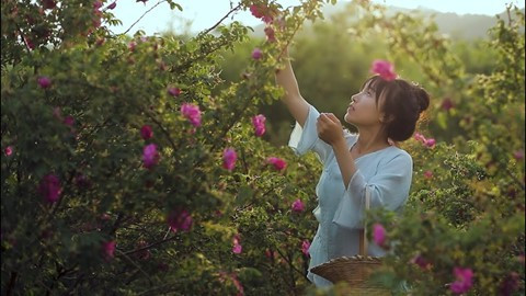 Sự thật phía sau cuộc sống tiên cảnh vạn người ao ước của “Tiên nữ đồng quê” Lý Tử Thất ảnh 15 Sự thật phía sau cuộc sống tiên cảnh vạn người ao ước của “Tiên nữ đồng quê” Lý Tử Thất ảnh 15