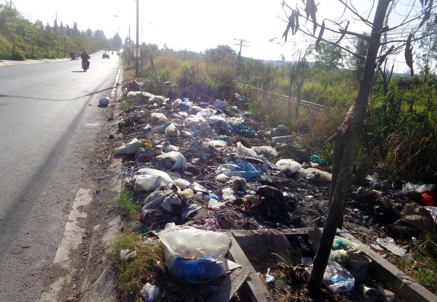 Hàng cây cũng bị thiêu cháy vì đốt rác (Ảnh chụp trên đường Điểu Xiển, P. Tân Biên, TP Biên Hòa, tỉnh Đồng Nai) Hàng cây cũng bị thiêu cháy vì đốt rác (Ảnh chụp trên đường Điểu Xiển, P. Tân Biên, TP Biên Hòa, tỉnh Đồng Nai)