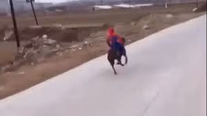 Khi "người nhện" phiên bản đời thực đi giải cứu thế giới