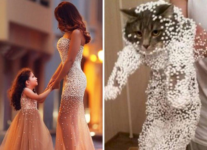 phat hien gay soc ve nhung bo vay noi tieng hinh anh 2