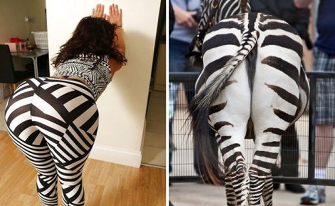 phat hien gay soc ve nhung bo vay noi tieng hinh anh 9