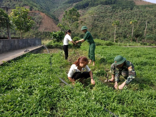 Bữa ăn của HS được tăng cường dinh dưỡng từ vườn rau xanh chiến sĩ đồn Ma Lù Thàng. Ảnh: T.G Bữa ăn của HS được tăng cường dinh dưỡng từ vườn rau xanh chiến sĩ đồn Ma Lù Thàng. Ảnh: T.G