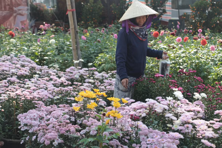 Một số tiểu thương bán hoa Tết ở Điện Biên cho biết sức mua năm nay giảm mạnh.