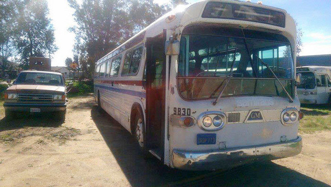 Cô gái bỏ nhà ở thành phố để sống trên xe bus suốt 3 năm ảnh 2 Cô gái bỏ nhà ở thành phố để sống trên xe bus suốt 3 năm