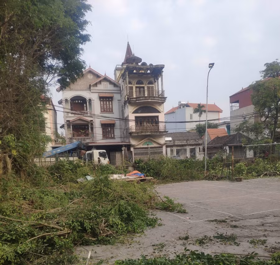 Nhiều cây xanh trong khuôn viên chùa bị chặt phá.