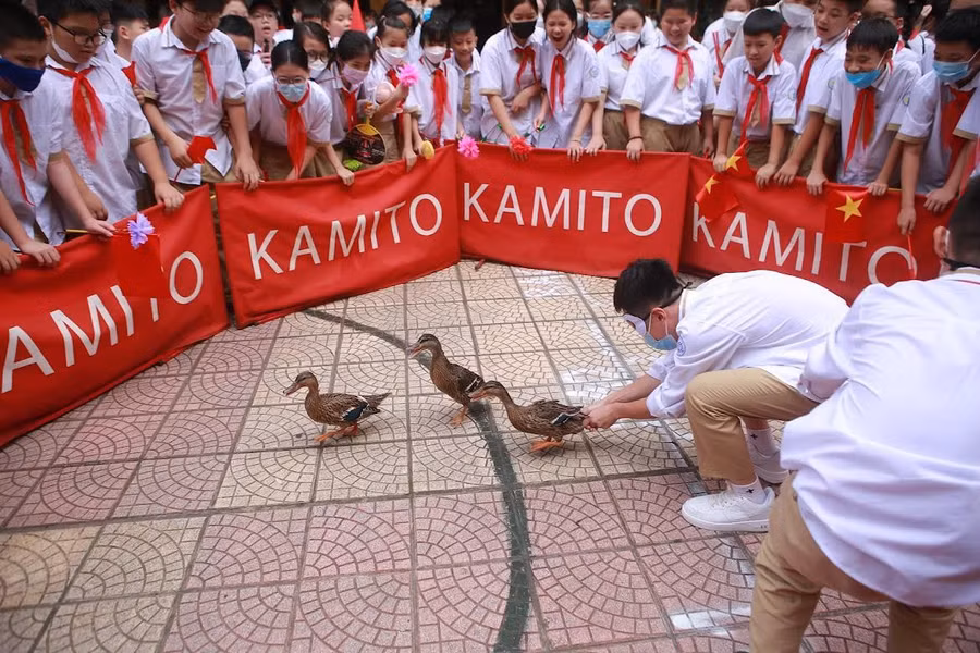 Trò "bịt mắt bắt vịt" là phần thu hút nhiều tiếng cười sảng khoái nhất của học sinh cũng như các giáo viên.