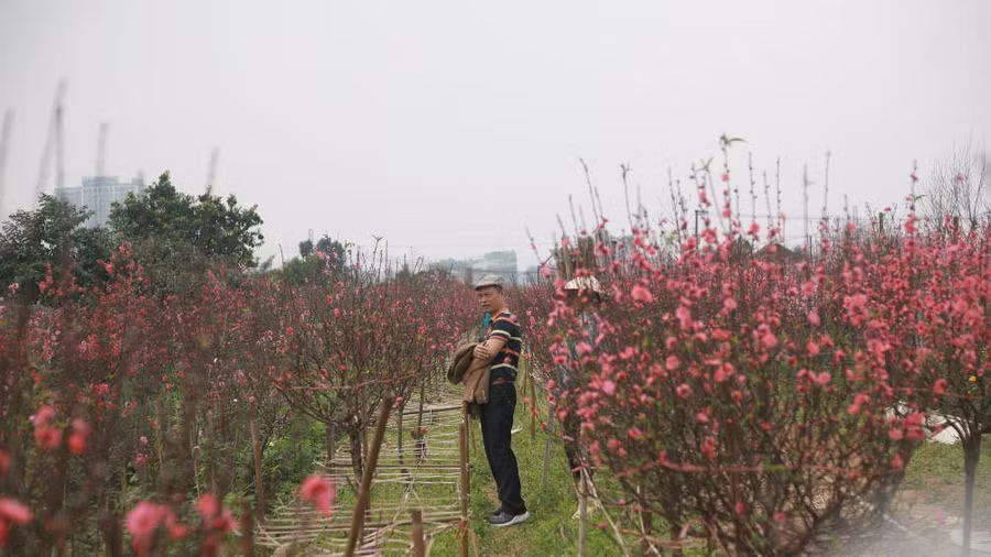 Keyword đầu tiên có dấu