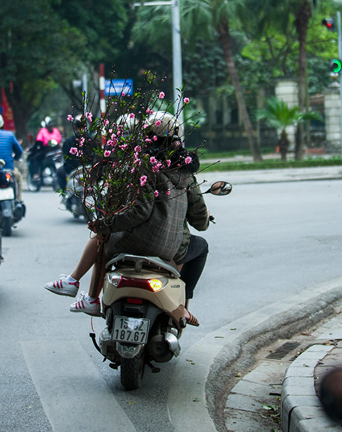 ... đón Xuân. ... đón Xuân.