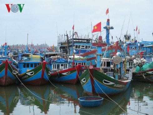 ngư dân chung lưng tạo nên những "bó đũa" ở hoàng sa hình 1 ngu dan chung lung tao nen nhung "bo dua" o hoang sa hinh 1