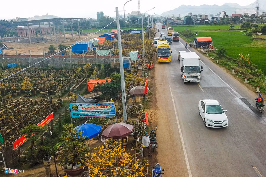 Vu mai Tet e chua tung co, hang nghin goc chong cho giua dong hinh anh 8