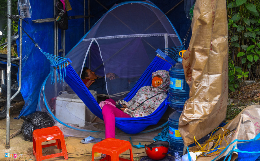 Tranh thủ buổi trưa, một số nông dân ngủ trưa trong lều bạt ven quốc lộ để dưỡng sức thức đêm bán hoa mai ven quốc lộ 1. Vu mai Tet e chua tung co, hang nghin goc chong cho giua dong hinh anh 11