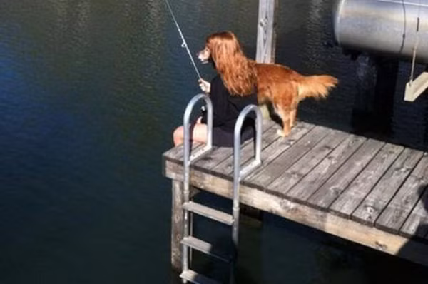 anh-danh-lua-thi-giac