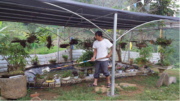 Các hố tận dụng nước thải đều được trải ni lông để trống thấm Các hố tận dụng nước thải đều được trải ni lông để trống thấm